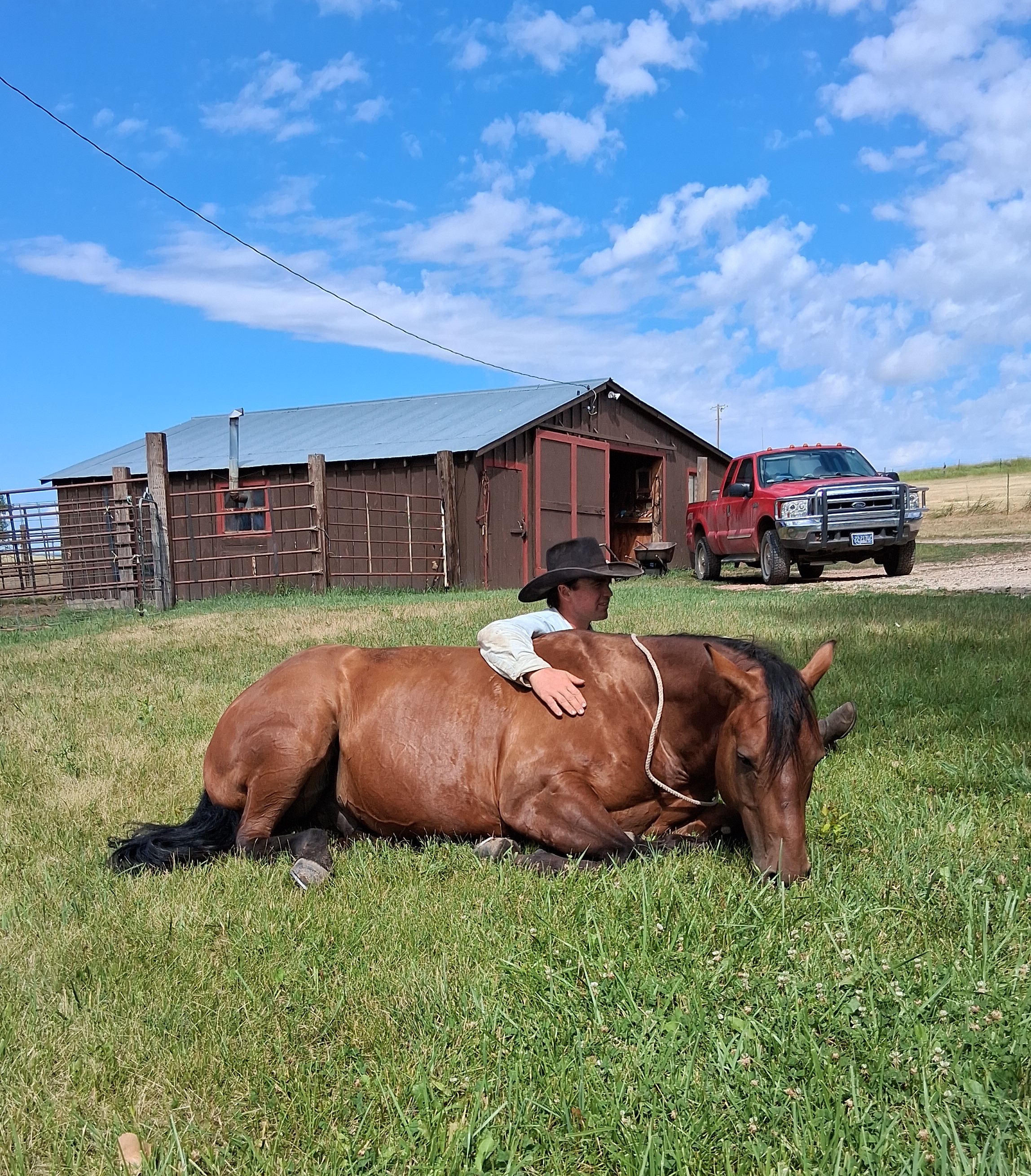 LITTLE COWBOY