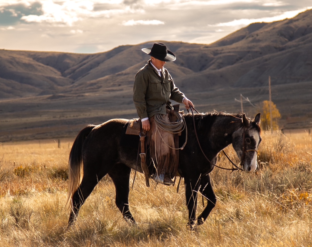 CHEXYS UPSET