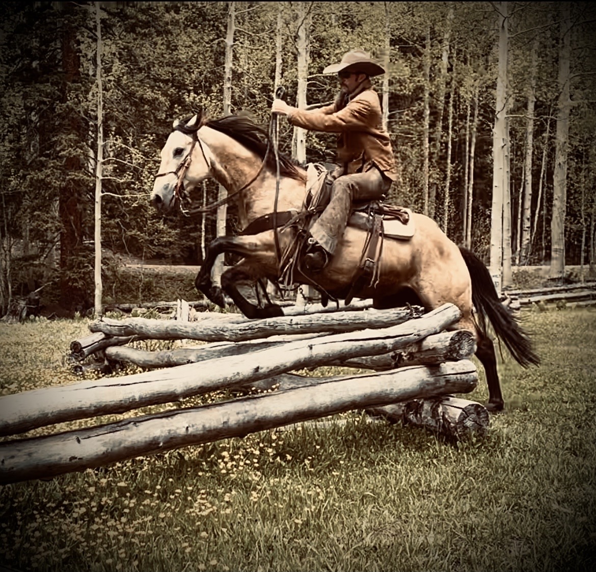 GB BUCK 2019