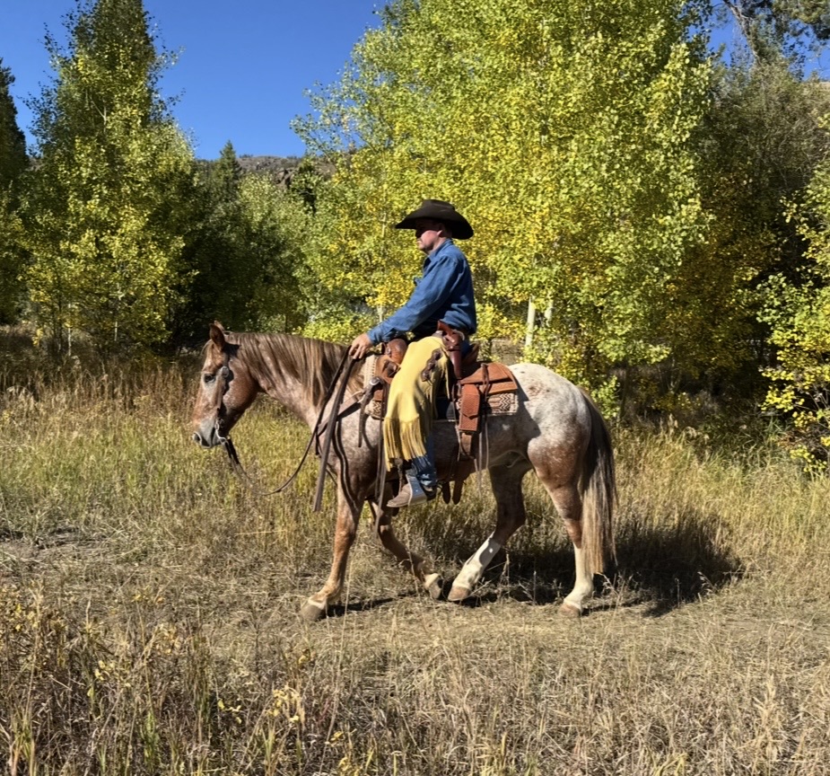 COCHISE