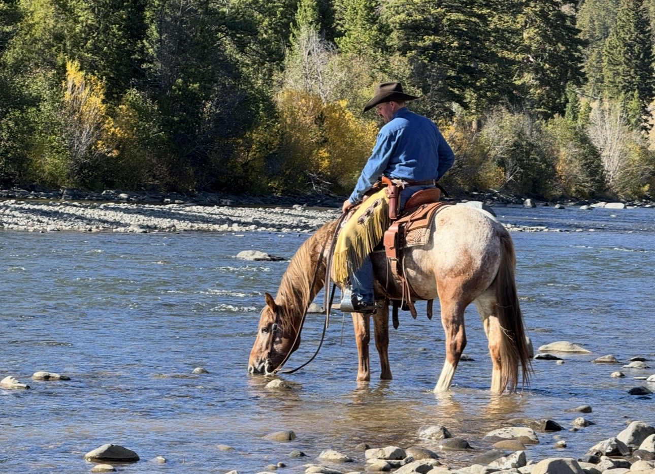 COCHISE