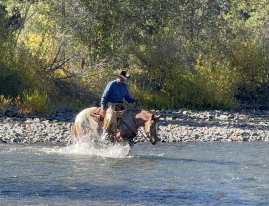 COCHISE